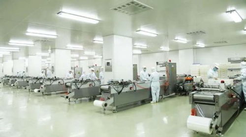探訪煌上煌醬鹵博物館 美食工廠變身文化旅游景區，打造獨特文旅新地標